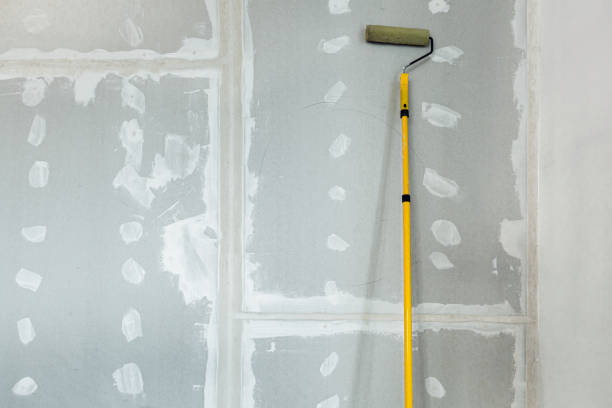 Best Drywall Sanding and Smoothing  in Sharon, WI